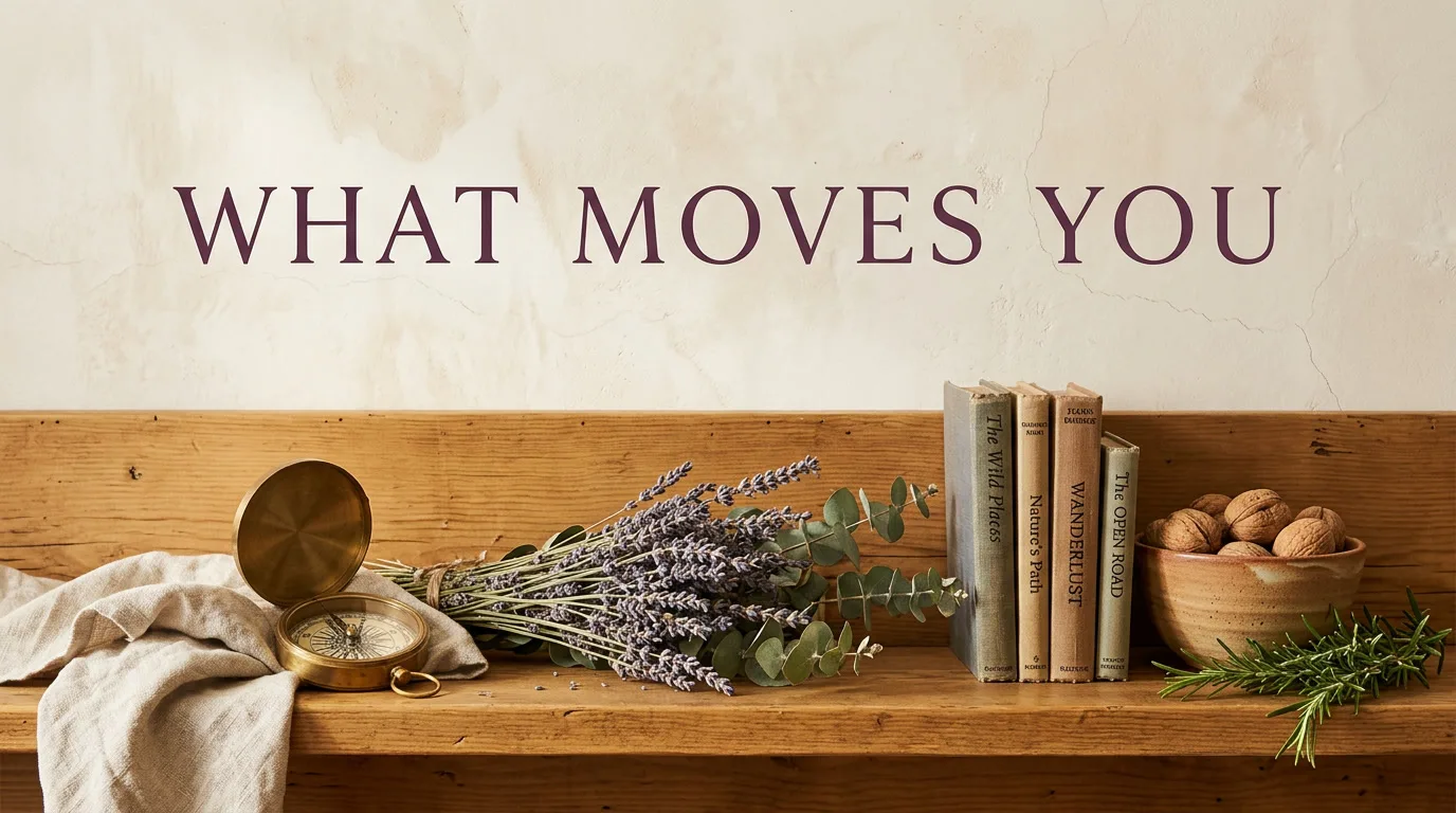 Your Motivation: what actually moves you
